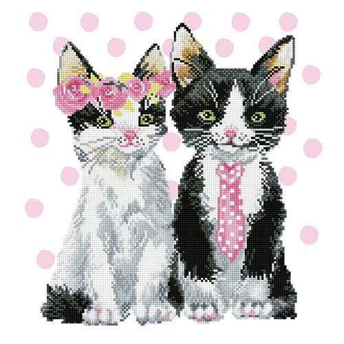 Diamond Dotz - Mr & Mrs Pink