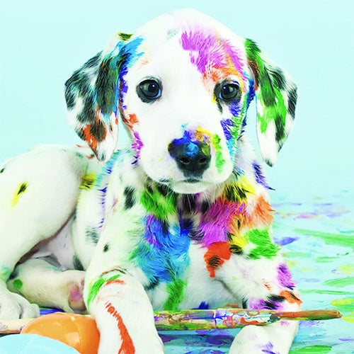 Diamond Art - Dalmation