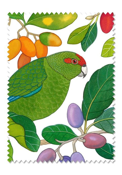 Wolfkamp & Stone - Kakariki Parakeet - Lens & Screen Cloth