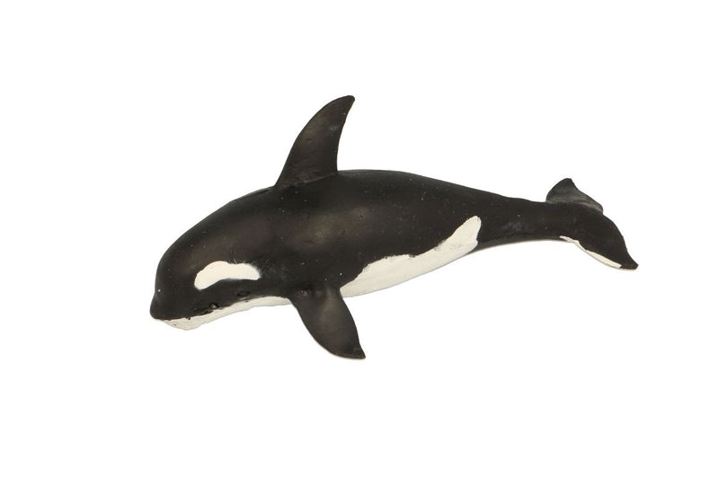 Orca Stretchy Beanie