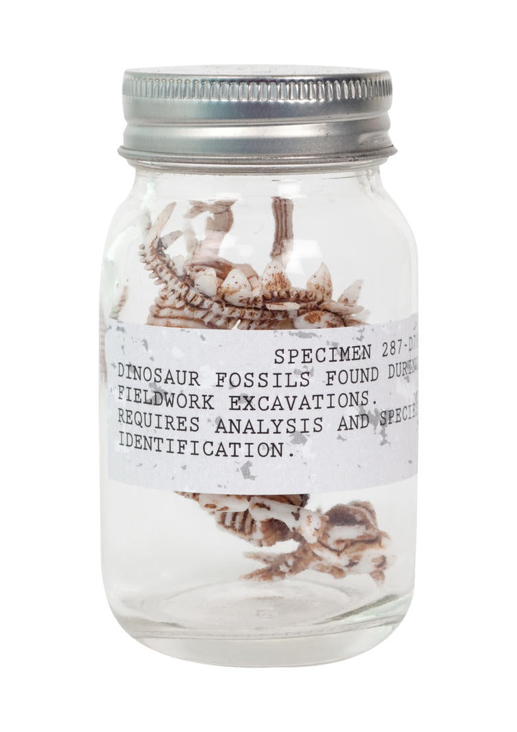 Dino Fossils in a Jar