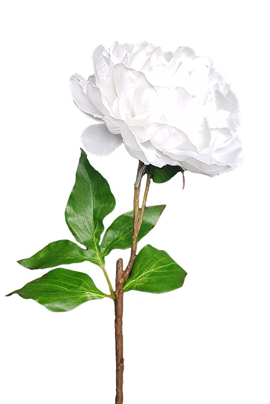 Flower - Elsa Peony Spray White