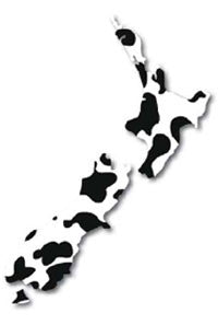 NZ Map Small - Cow Pattern